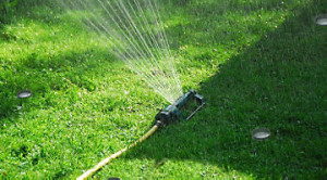watering_your_lawn