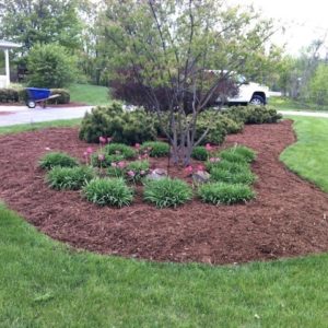 Complete Lawn Care, Turf Management and Mowing Virginia Beach